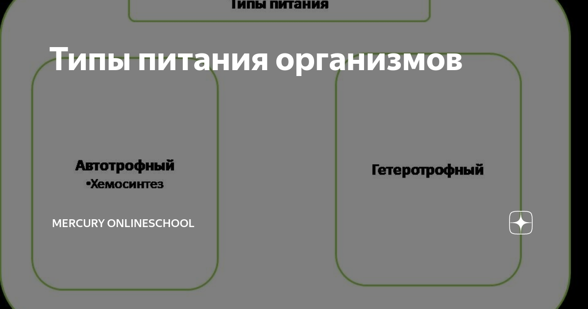 Опишите известные вам типы питания фото YugNash.ru