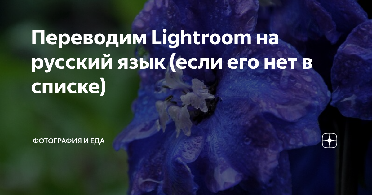 При импорте пропущен дубликат lightroom на телефоне что делать