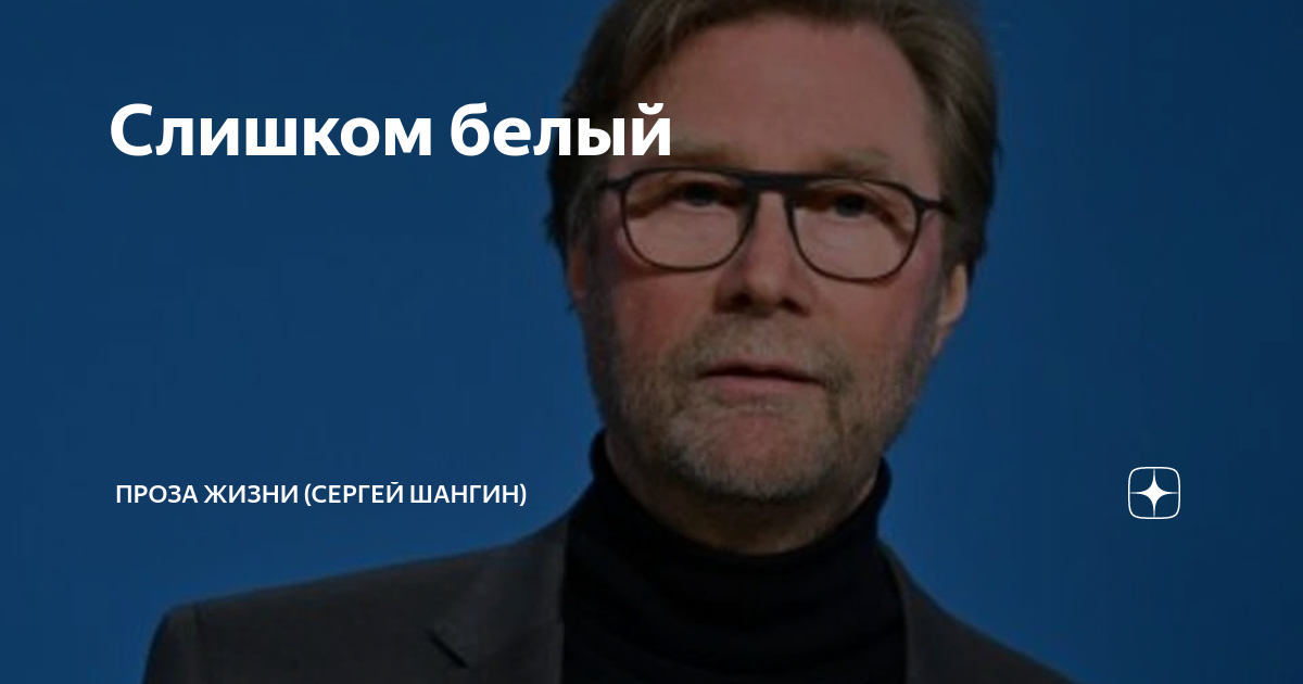 проза жизни шангин