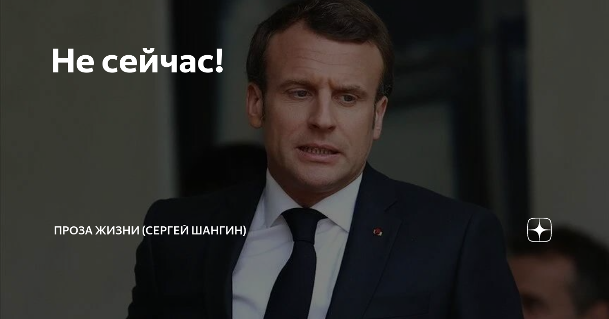 проза жизни шангин. а пьяницы с глазами кроликов in vino veritas кричат рядом. проза жизни сергей шангин. мерзавцы всегда одерживают. проза жизни шангин.