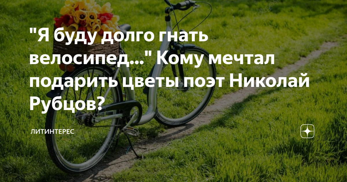 рубцов я буду долго гнать велосипед