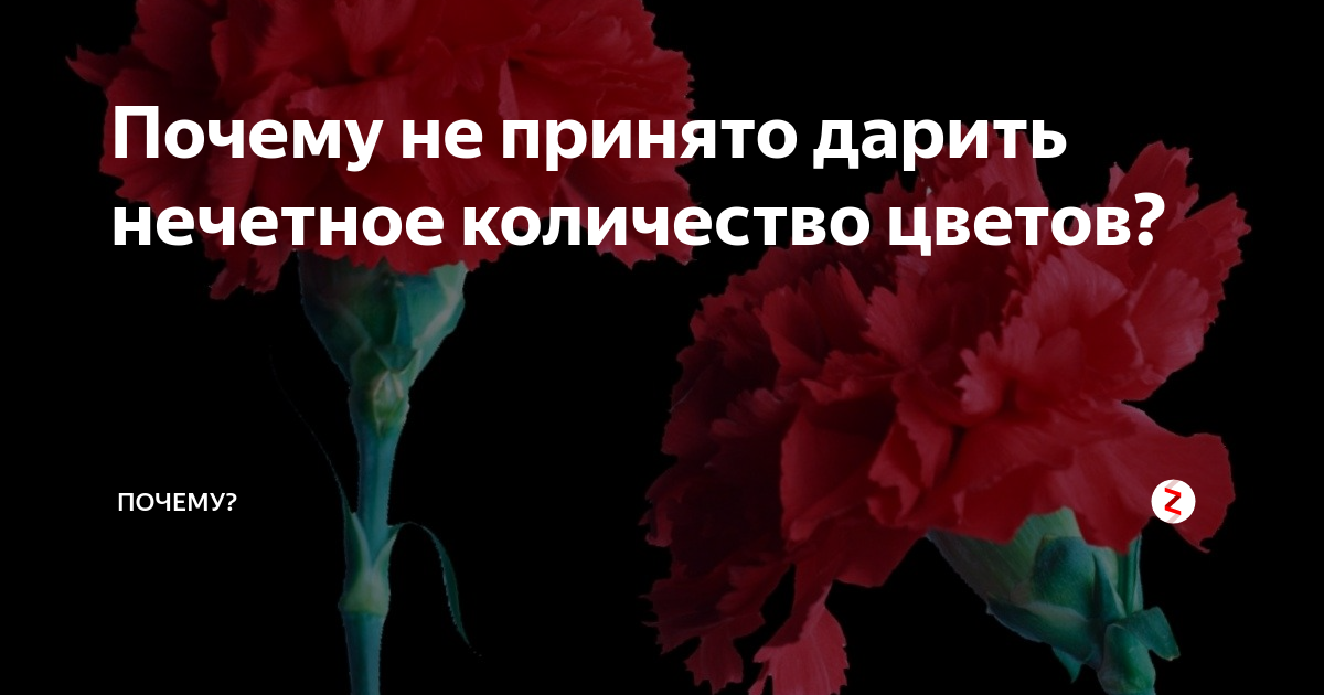 Нечётное число цветов в букете. Нечетное количество цветов в букете. Нечётное количество цветов дарят. Четные или нечетные дарят цветы. Четное количество цветов дарят мертвым