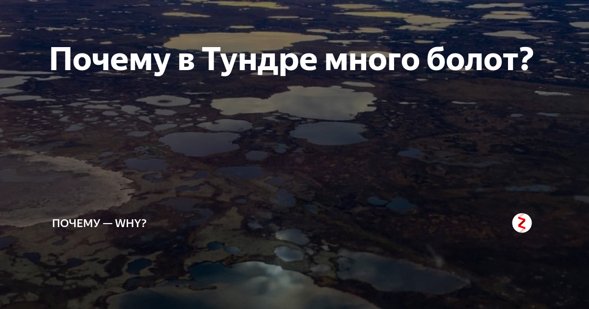 Почему в тундре так много озер, ведь осадков там не больше, чем в пустыне