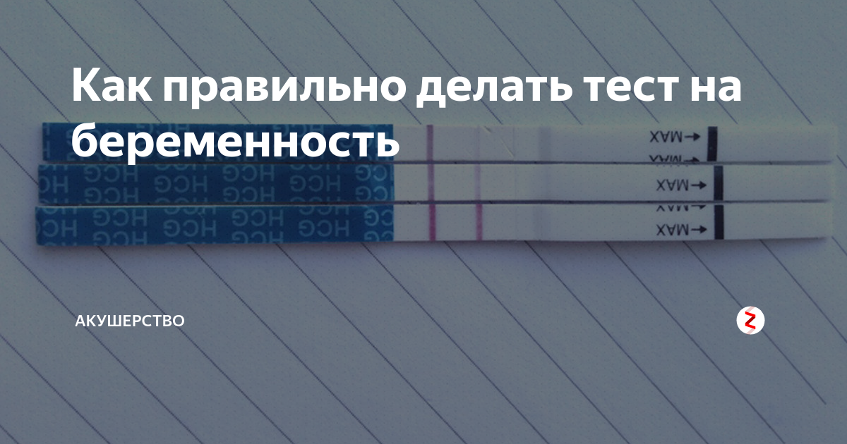 Когда лучше делать тест на беременность, чтобы результат был точным: рассказываем разные варианты