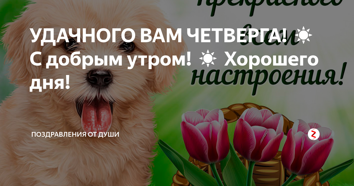 Хорошего четверга хорошего настроения картинки