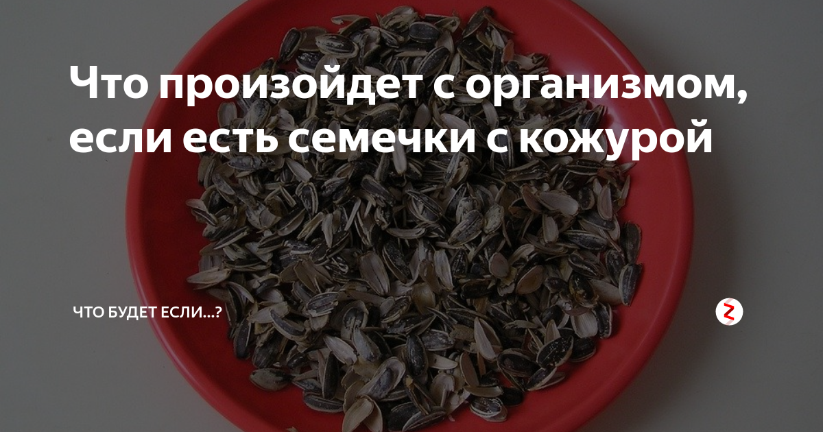 Можно ли есть кожуру. Съедайте с кожурой семечки. Что будет если есть семечки. В аппендиците кожура семечек.