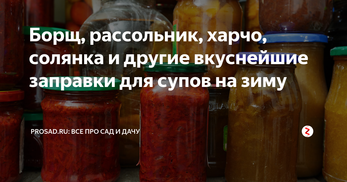 Борщ, рассольник, харчо, солянка: заправки для супов