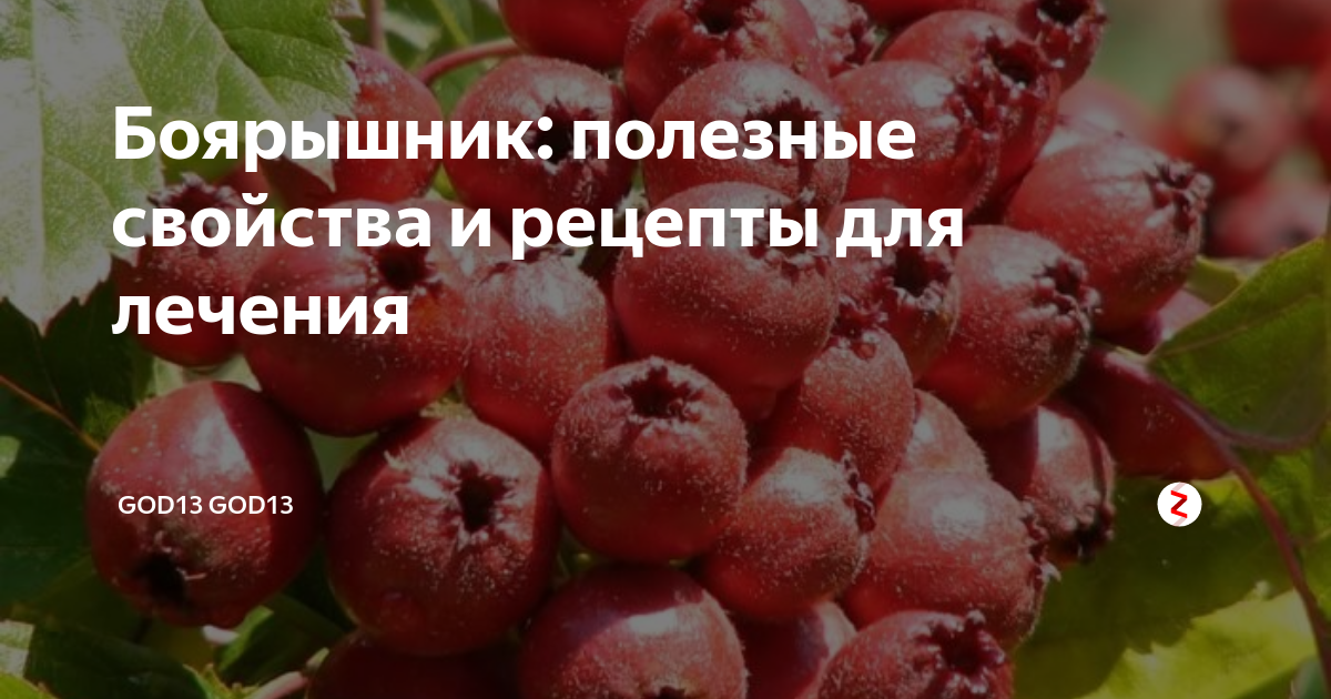 Сборник народных рецептов лечения заболеваний сердечно-сосудистой системы