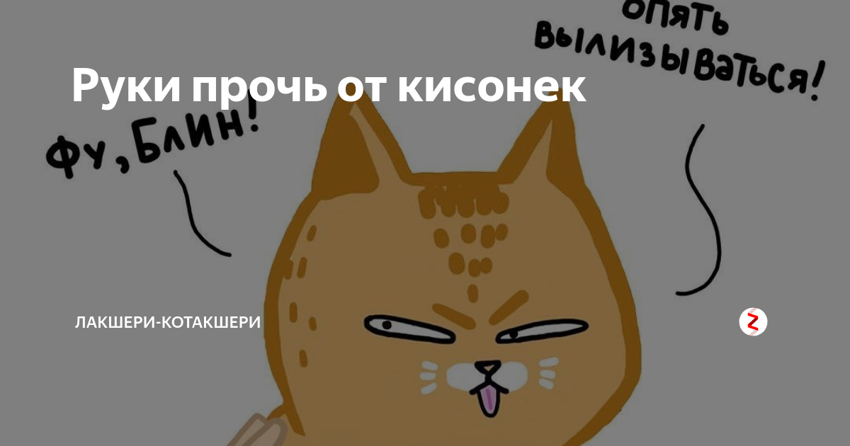 Руки прочь от котиков охота на убийцу. Лакшери Котакшери. Лакшери Котакшери дзен. Руки прочь. Руки прочь от котиков Мем.