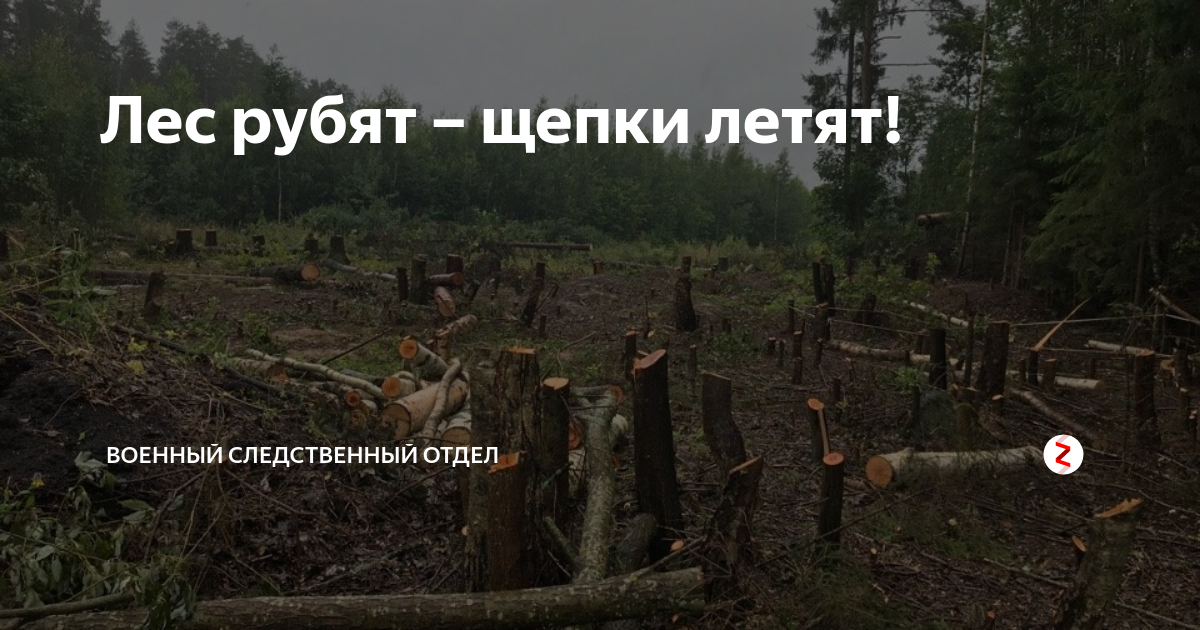Лес рубят щепки летят