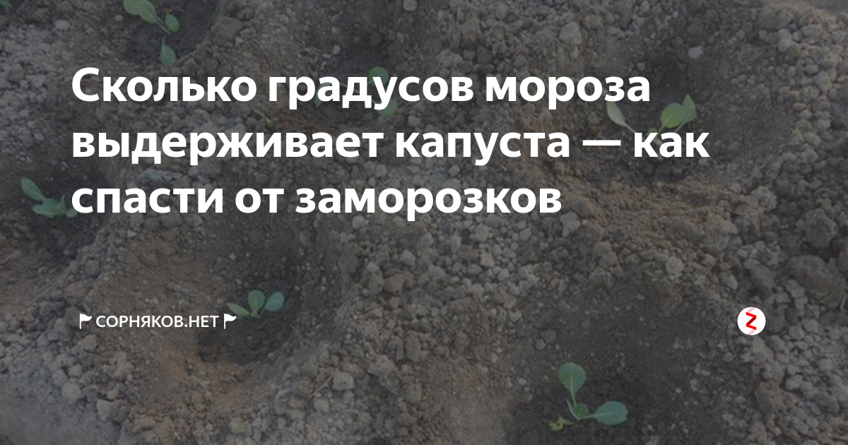 Важность правильной упаковки и вентиляции