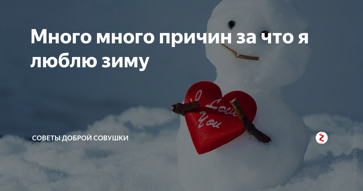 Причины любить зиму. Инфографика зима. Как я люблю зиму. Лесной фонд кировской области по подзонам. Люблю зиму.