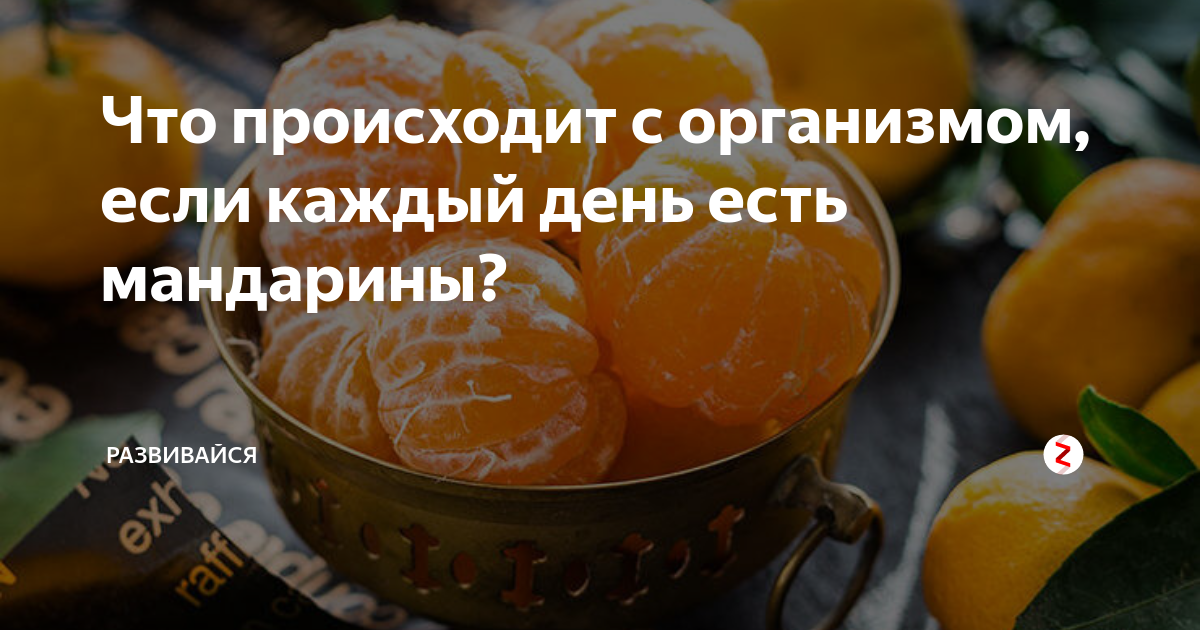 мандарин который нельзя есть. с какого возраста можно давать ребёнку мандарины. состою из мандарин. цитаты про мандарины. фильм апельсин или мандарин.