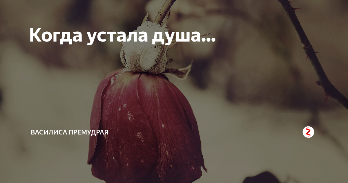 Усталость души. Душа устала. Душа устала фото. Высказывания о усталости души.