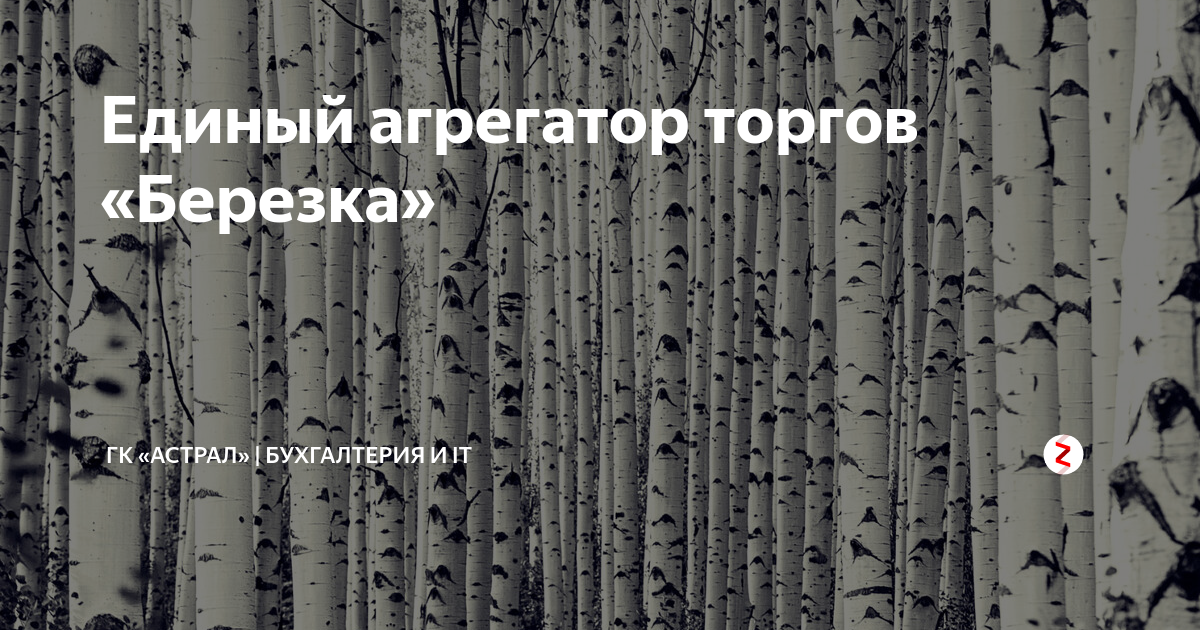 Сайт березка закупки. Агрегатор Березка. Тендер Березка. Березка агрегатор торговли. Березка закупки.