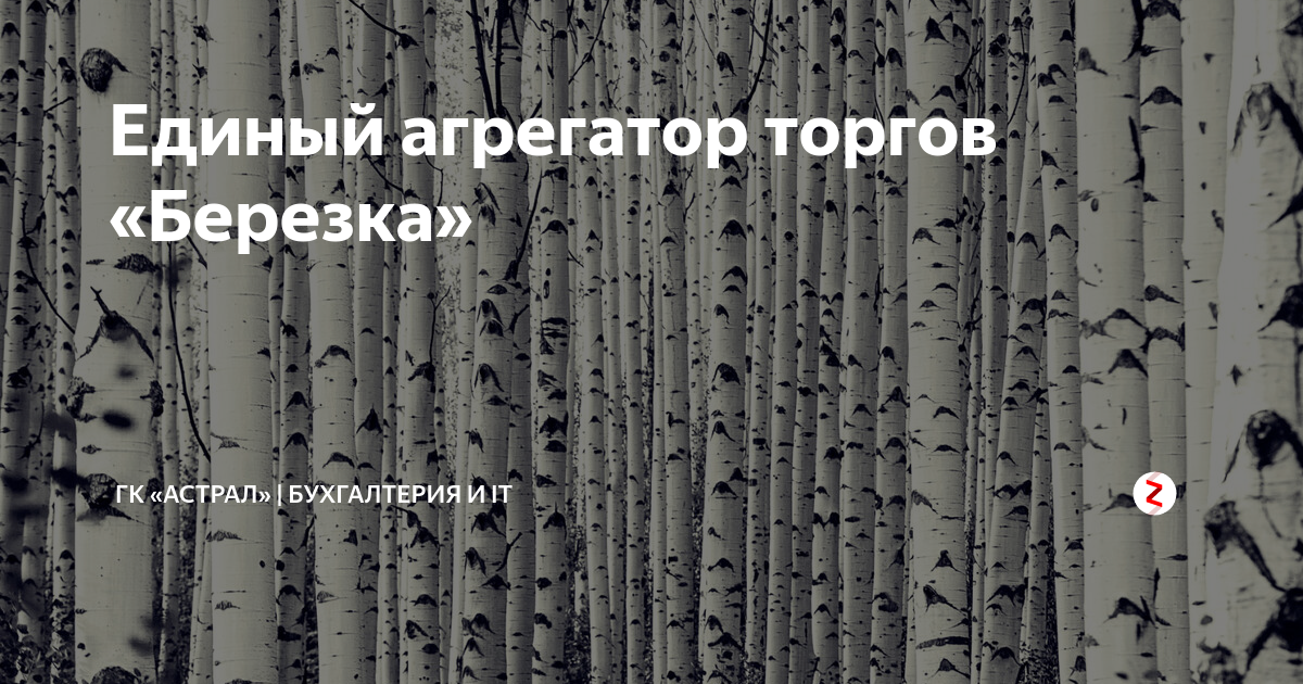 Агрегатор Березка. Березка агрегатор торговли. Березка закупки. Тендер Березка. Сайт электронных торгов березка