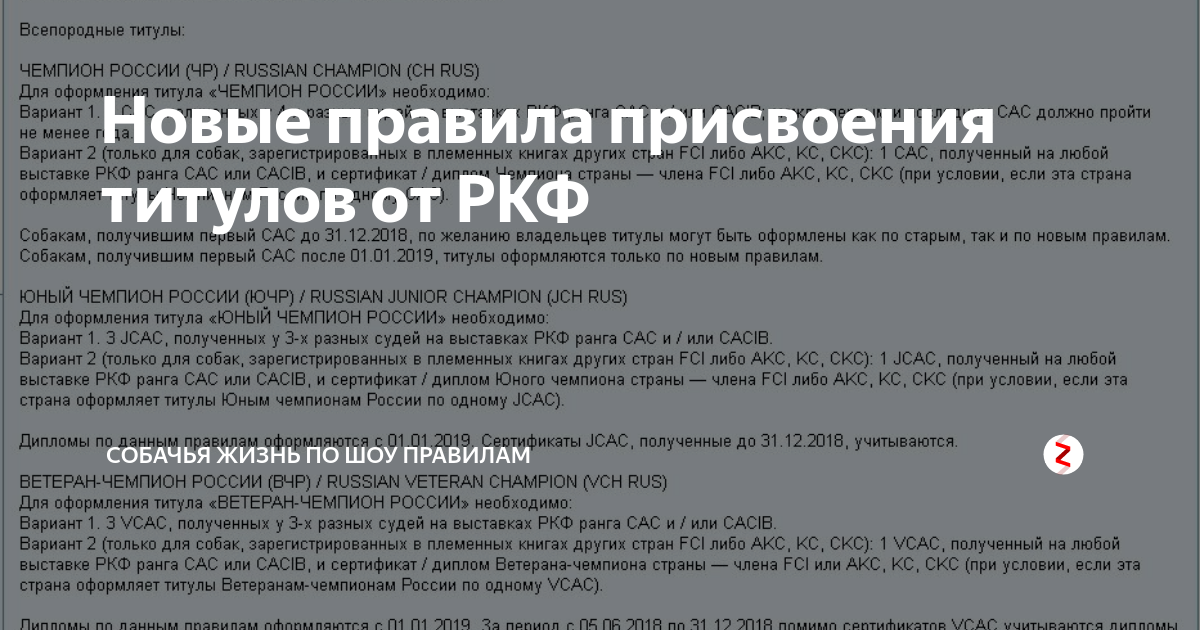 Заявка на присвоение титулов ркф чемпионы образец заполнения