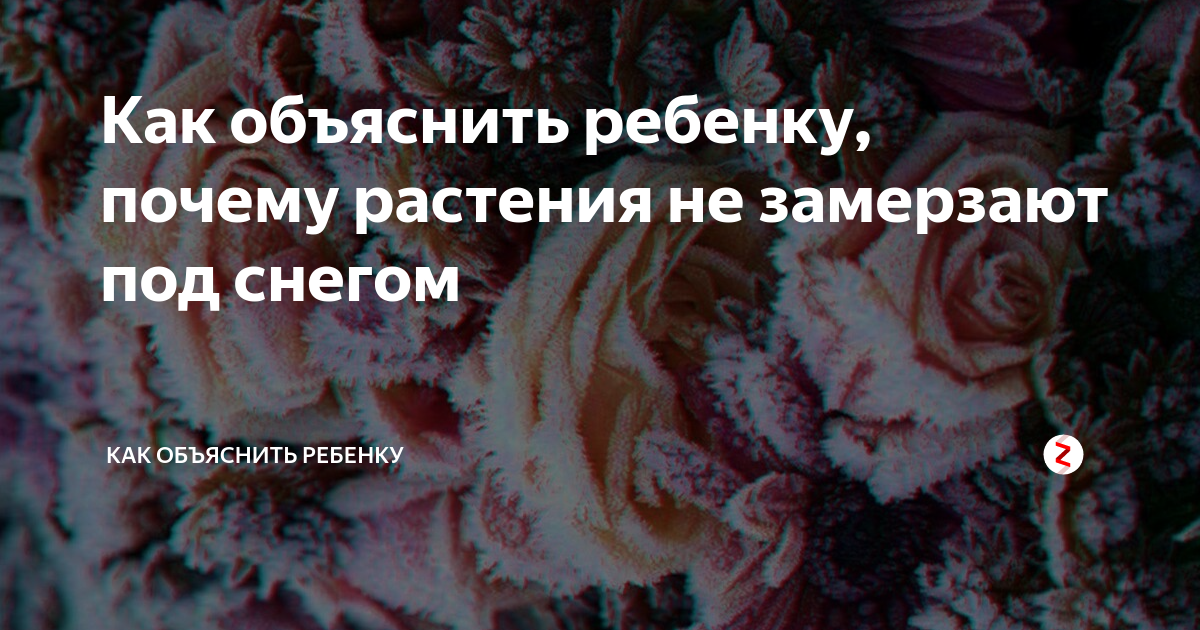 Уход за садом и цветником в условиях аномальной зимы