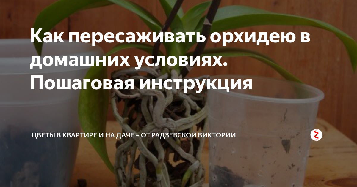 На смену декабрям приходят январи - Воспоминания о ГУЛАГе и их авторы