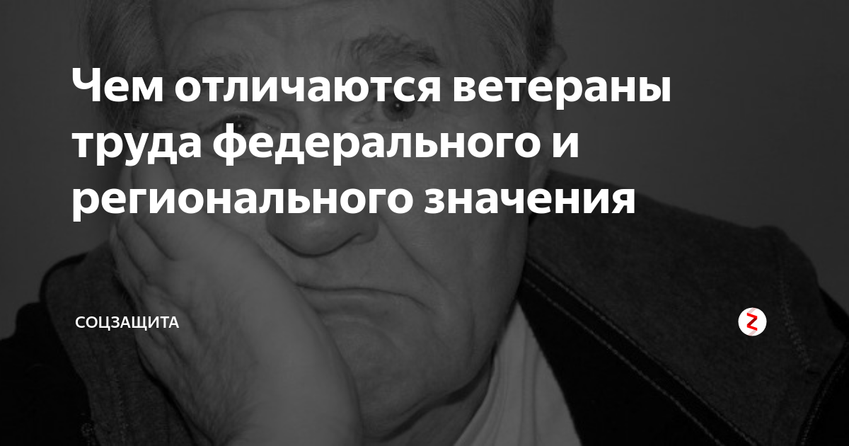 Чем отличаются ветераны труда федерального и регионального значения |  Соцзащита | Дзен