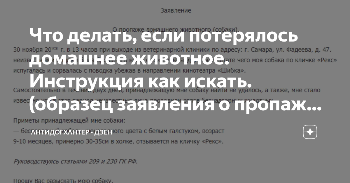 Что делать, если потерялось домашнее животное. Инструкция как искать ...