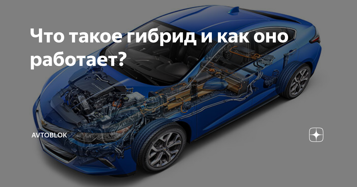 Что такое гибридный формат работы. Гибрид. Гибрид это простыми словами