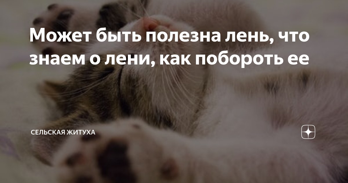Житуха в 80 на дзене последнее видео. Пирожки с котятами. Как пишется обнимашек. Обнимутся как пишется. Как пишется обними