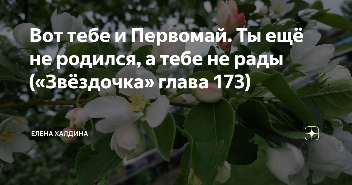 Звездочка моя глава 8 глава 16