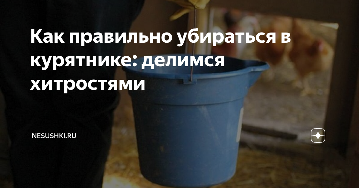 как избавиться от блох в курятнике народными средствами