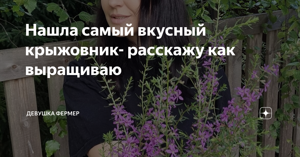 Нашла самый вкусный крыжовник- расскажу как выращиваю | Девушка фермер ...