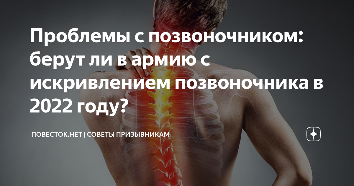 проблемы с позвоночником у кошек