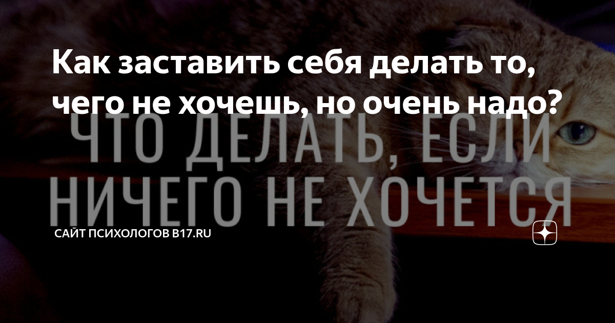 Михаил Лабковский: Делать то, что хочется — единственный способ прожить жизнь правильно