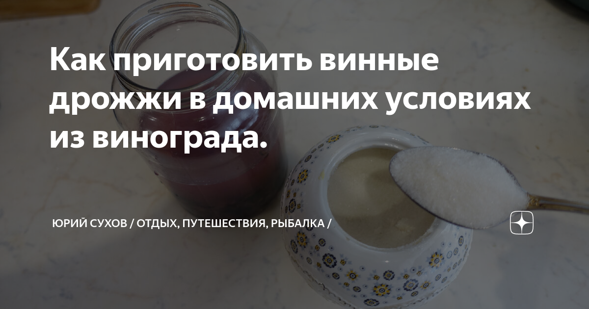 Универсальная закваска для вина – рецепты из ягод и изюма