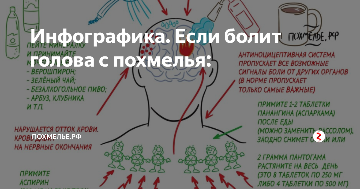 Что делать если очень сильно болит. Болит голова при похмелье. Похмелье инфографика. Головная боль инфографика. Из за чего может болеть голова.