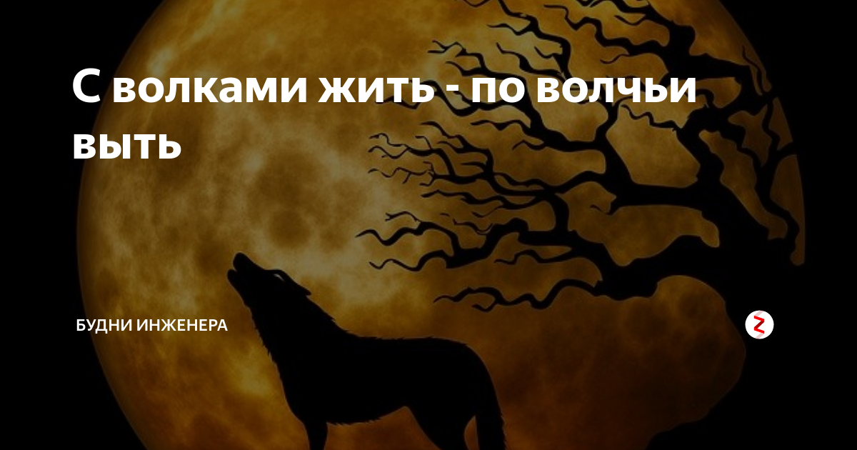 Пословица с волками жить по волчьи выть. С волками жить по Волчьи выть. С волками жить по Волчьи. Поговорка с волками жить по Волчьи выть. С волками жить по Волчьи выть картинки.