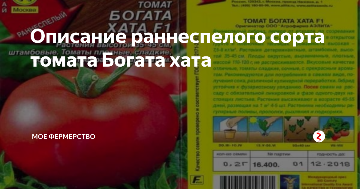 Томат Богата хата: описание и характеристика сорта, урожайность с фото