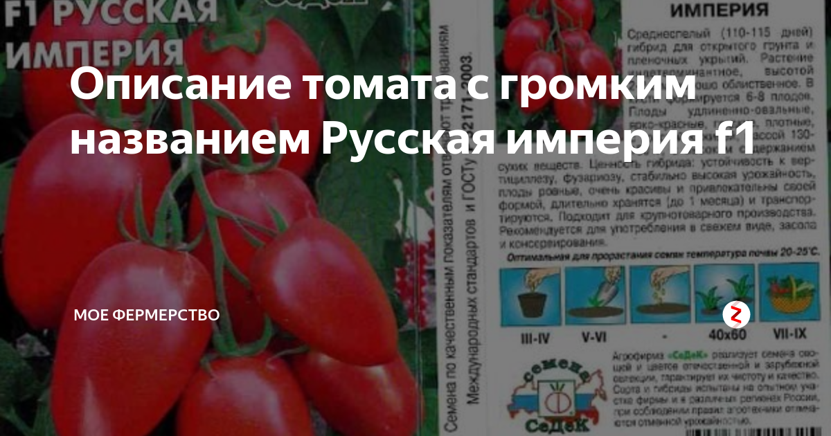 Купить Семена Томат "Русская империя" Седек Ц в интернет-магазине РУТРУМ. Достав