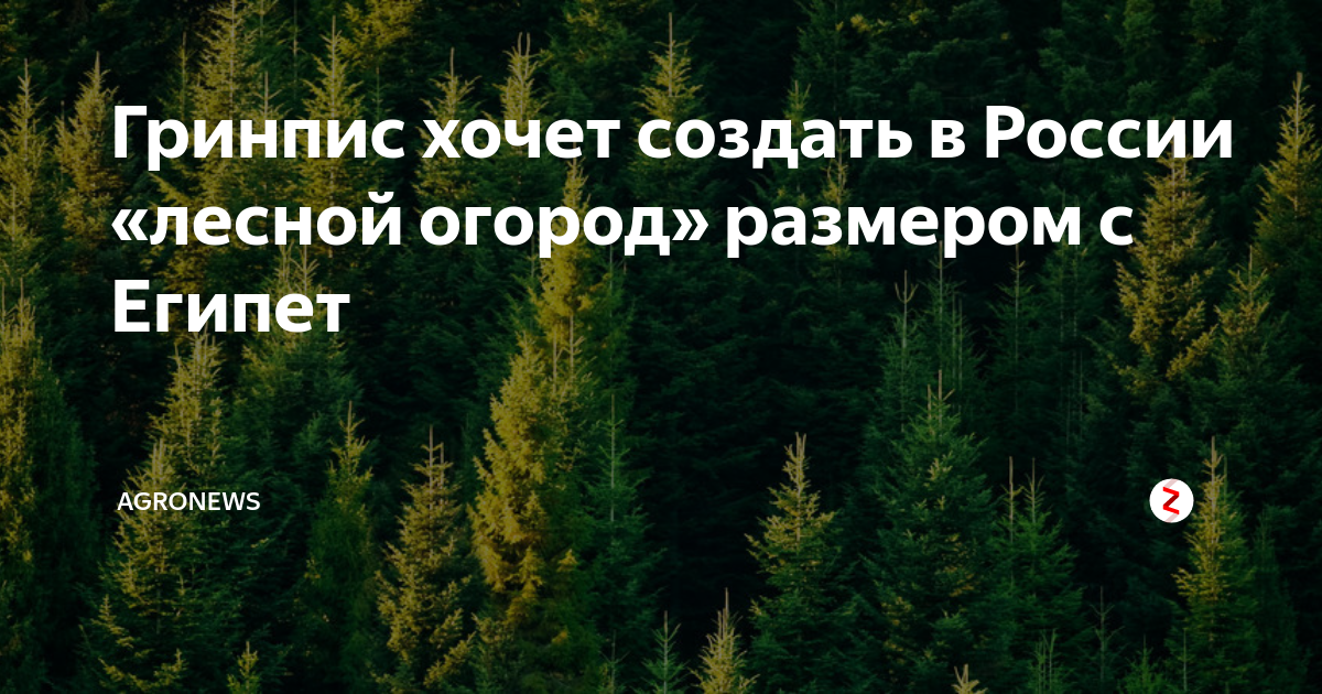 🌏💚 Простые советы для всех желающих - Гринпис в России