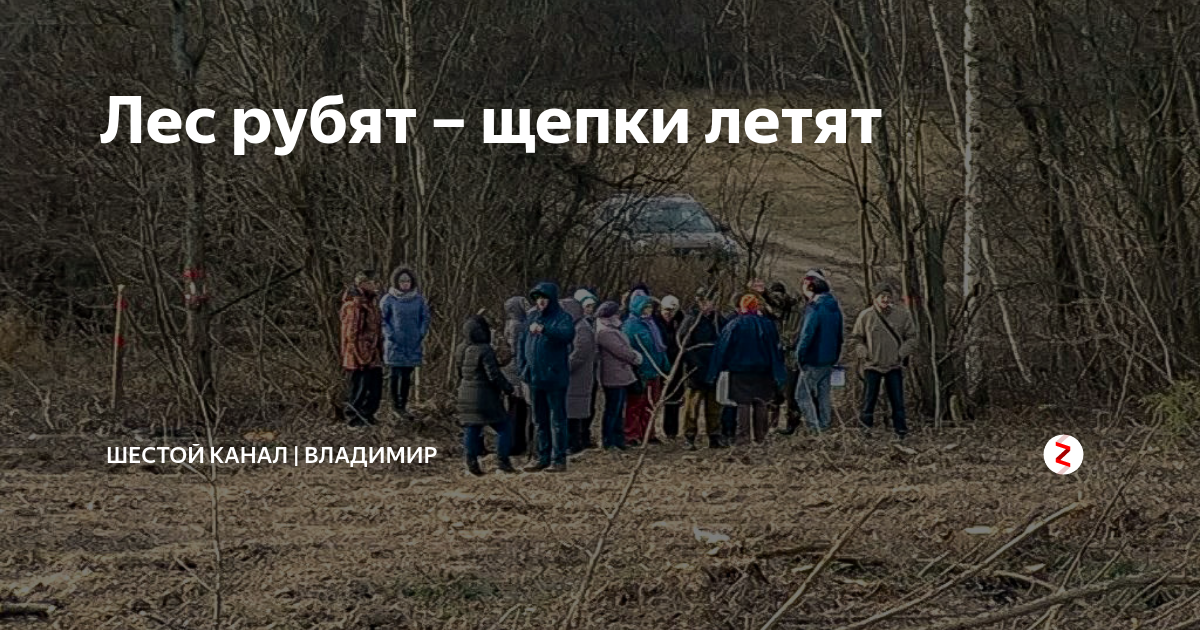 Смысл лес рубят щепки. Лес рубят щепки летят. лес рубят щепки летят сталин. лес рубят щепки летят значение.