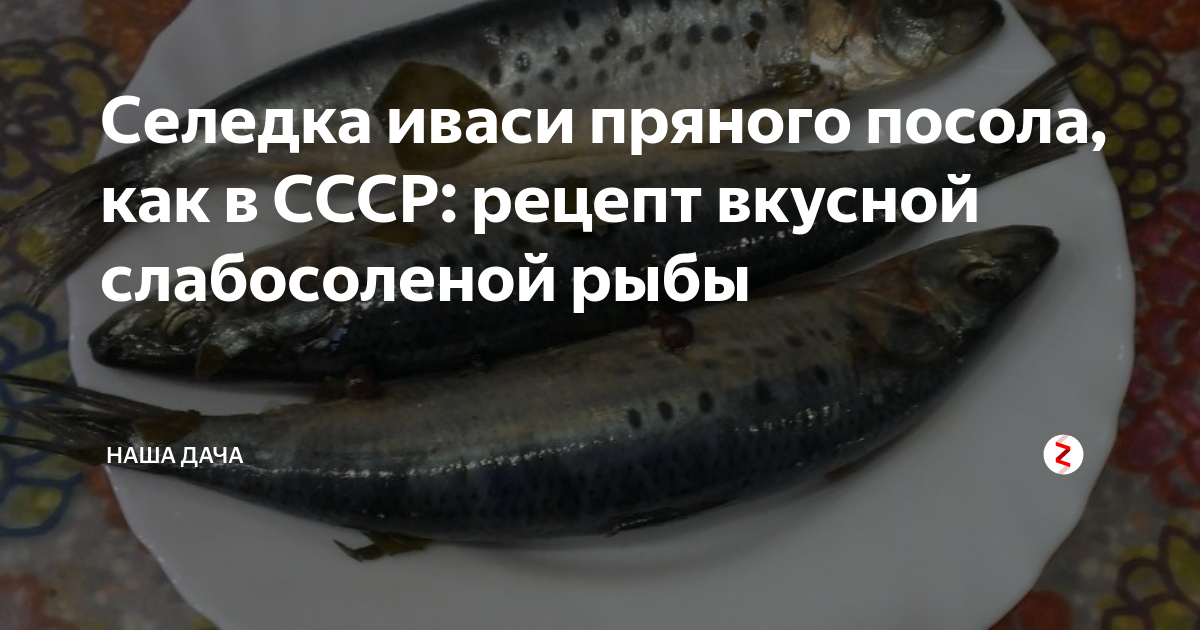 Сельдь иваси рыба. Сардина (иваси). Селедка пряного посола. Сельдь иваси рецепт. Ставрида скумбрия сардина.