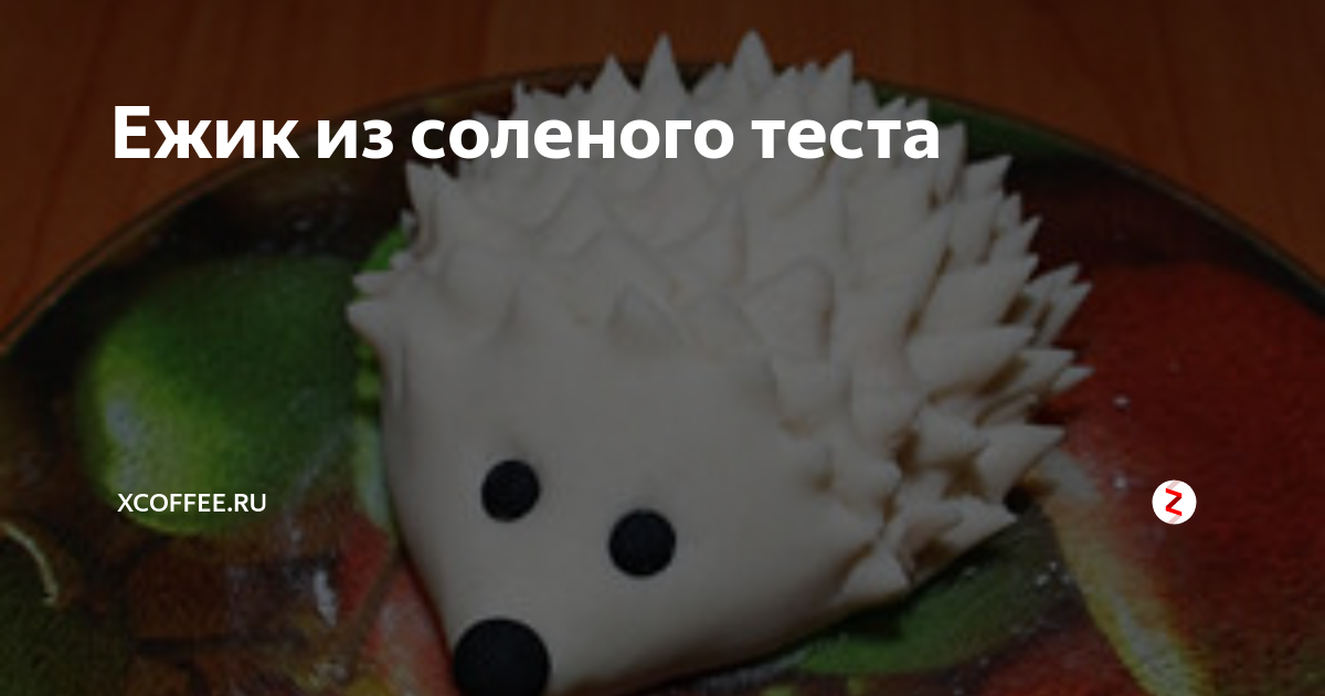 «Стал моим другом, братом и ро­д­с­т­вен­ной душой»: сколько стоит содержать африканского ежа