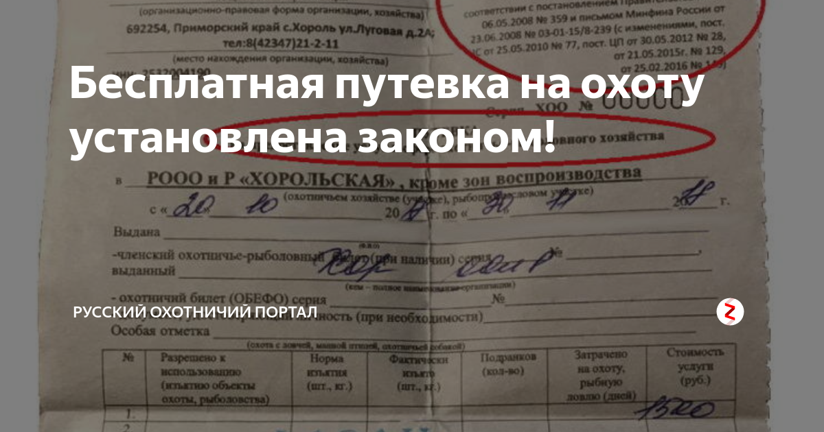 Путевка на зайца. Путёвка на охоту через МФЦ. Путевка в общедоступные охотничьи угодья.
