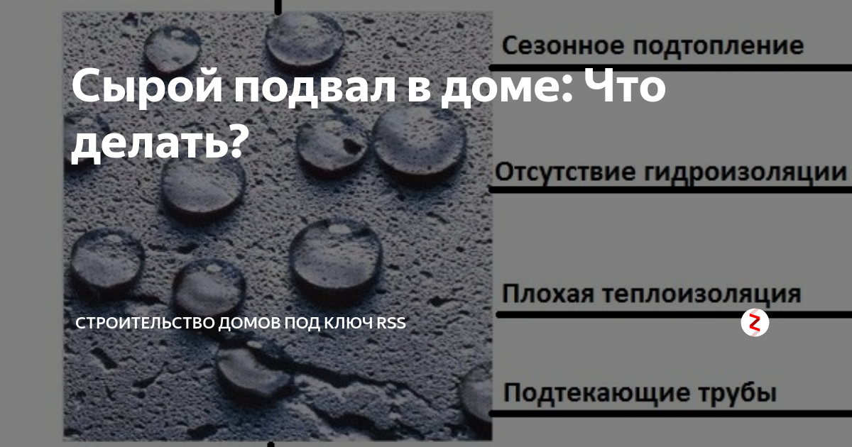 Сырость в подвале или погребе частного дома. Причины и как устранить.