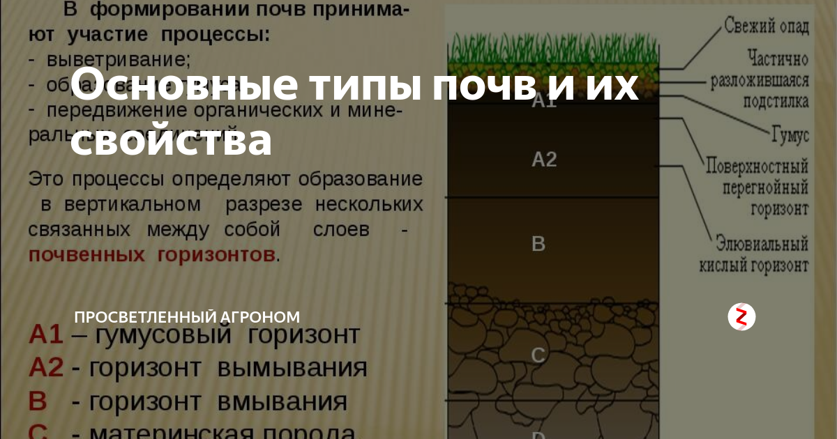 Тесты типы почв
