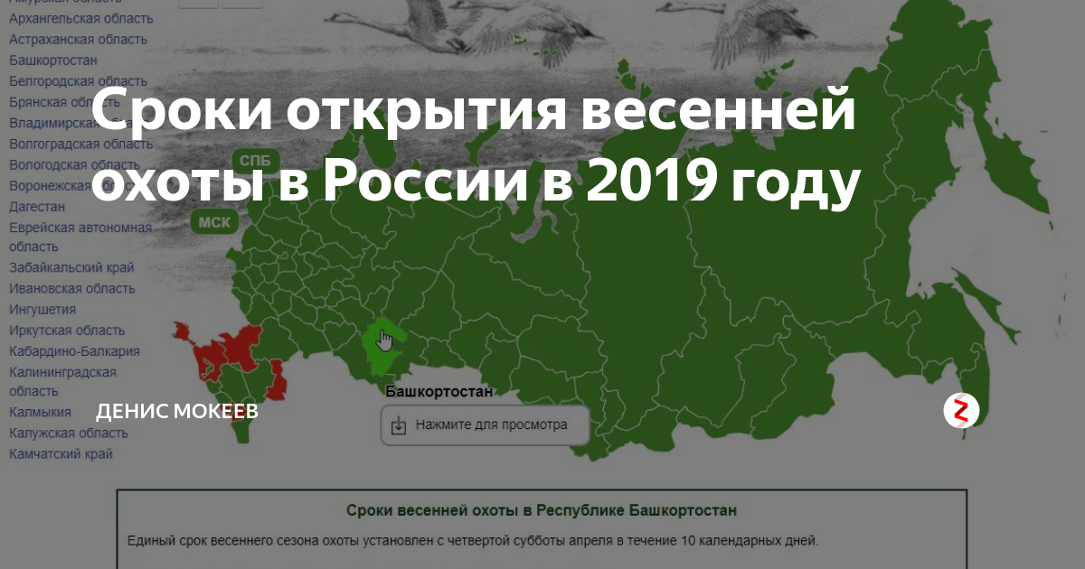 Сроки открытия осенней охоты 2024 по регионам. Сроки весенней охоты по регионам 2023. Сроки открытия весенней охоты 2021. Весенняя охота 2021 по регионам.