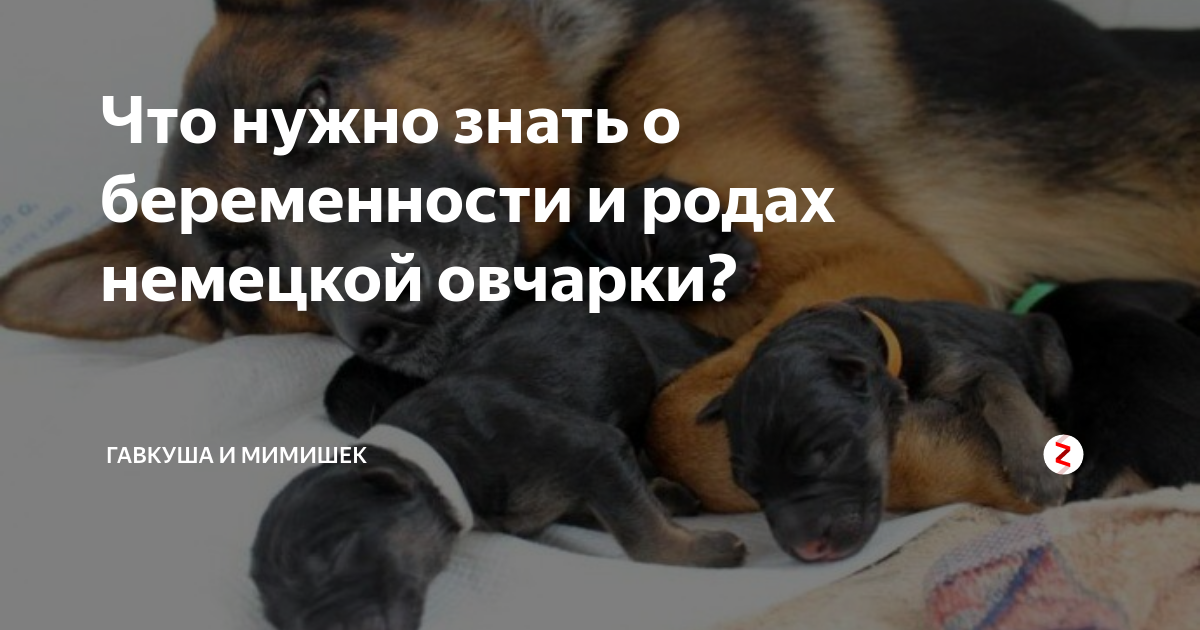 Процесс родов