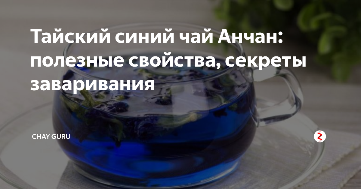 Тайский синий чай Анчан: полезные свойства, секреты заваривания | Chay ...