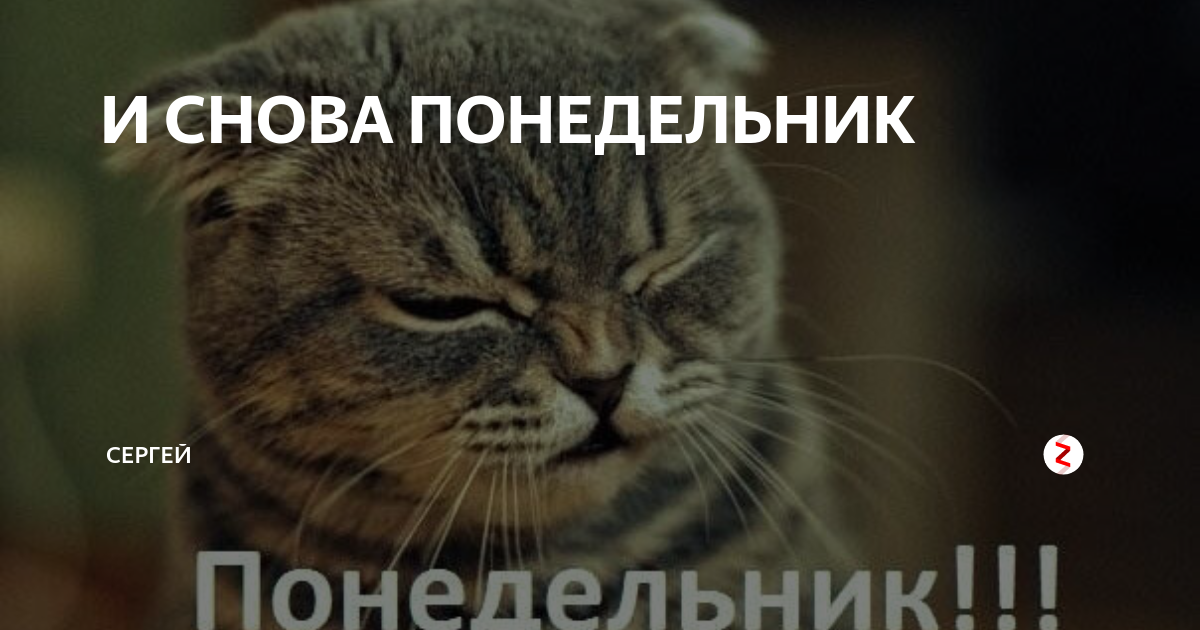 Понедельник работаем картинки
