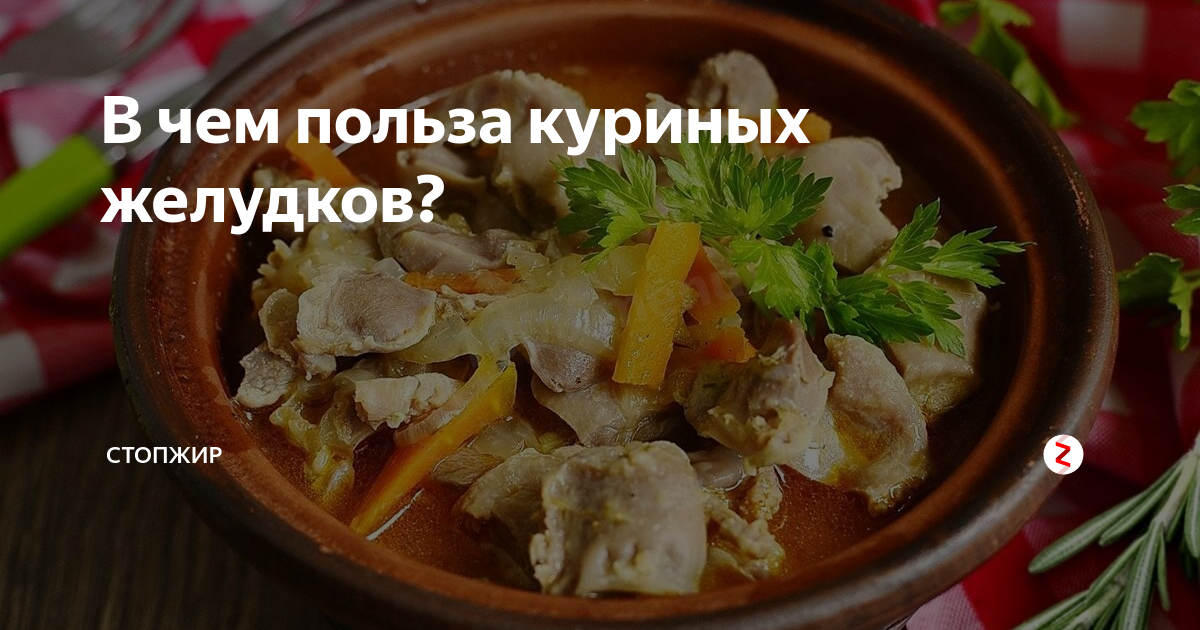 Польза куриных желудков. Желудки куриные польза и вред для здоровья.