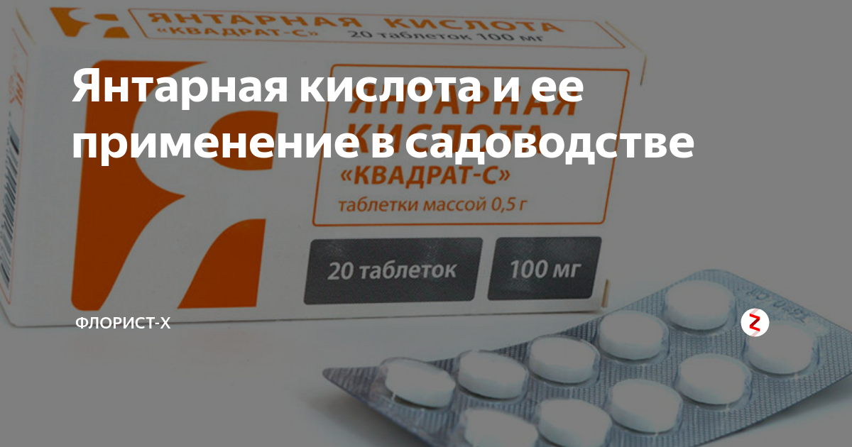 Янтарная кислота применение. Янтарная кислота для растений в огороде. Применение янтарной кислоты в огороде. Янтарная кислота для сада. Янтарная кислота для сада и огорода.